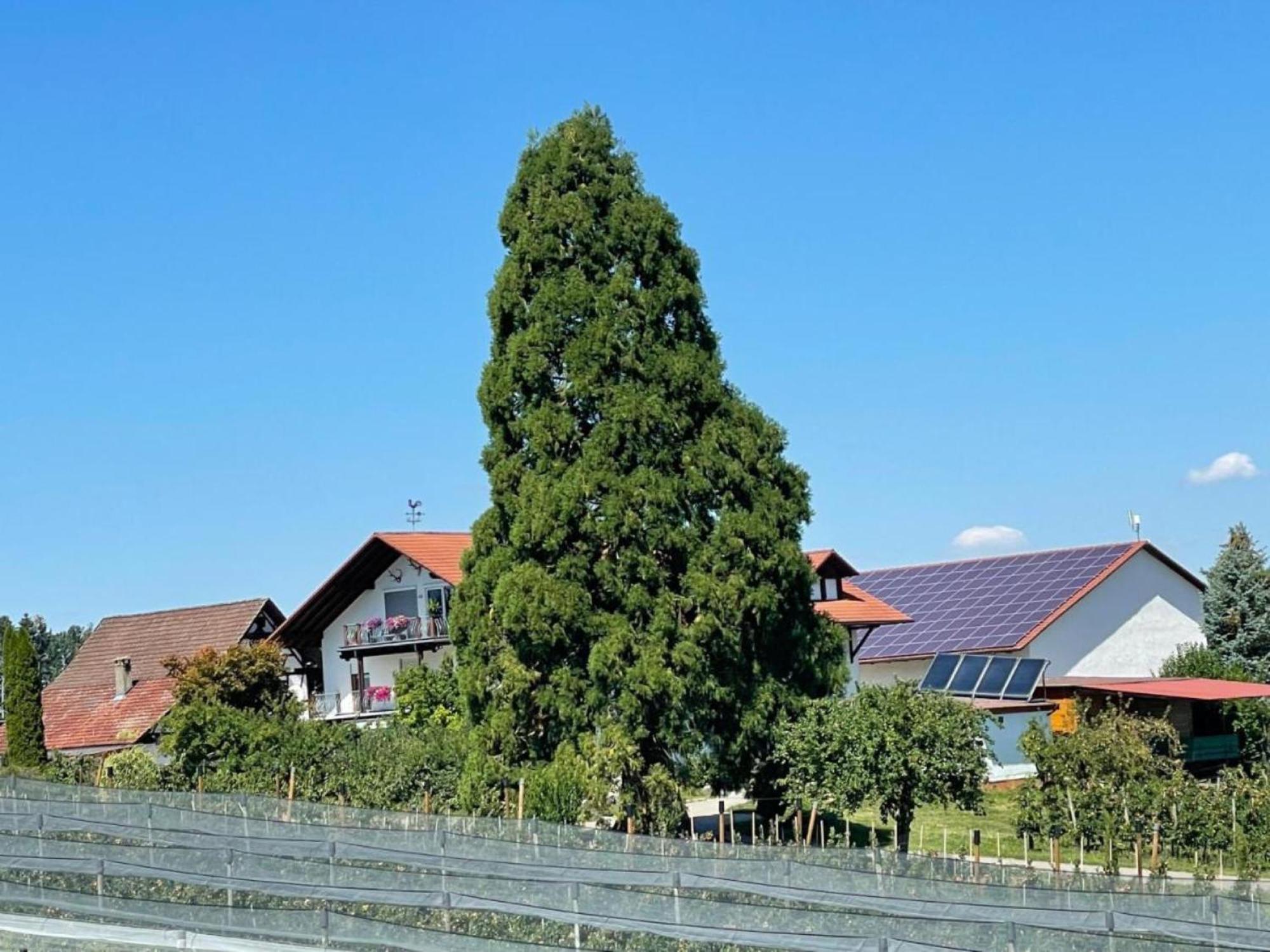 Bergchalet Mirabell - Hofgut FDH Kültér fotó