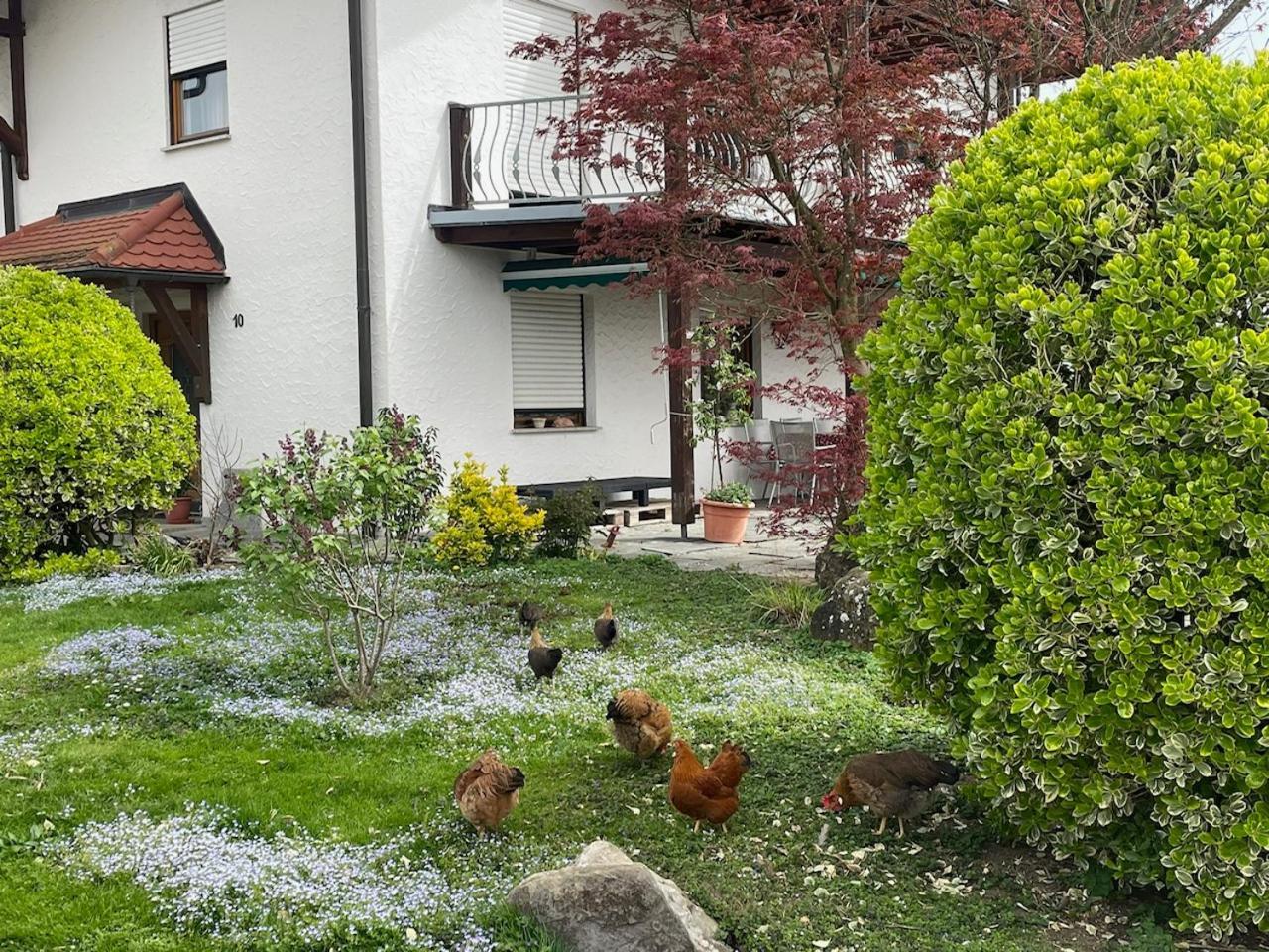 Bergchalet Mirabell - Hofgut FDH Kültér fotó