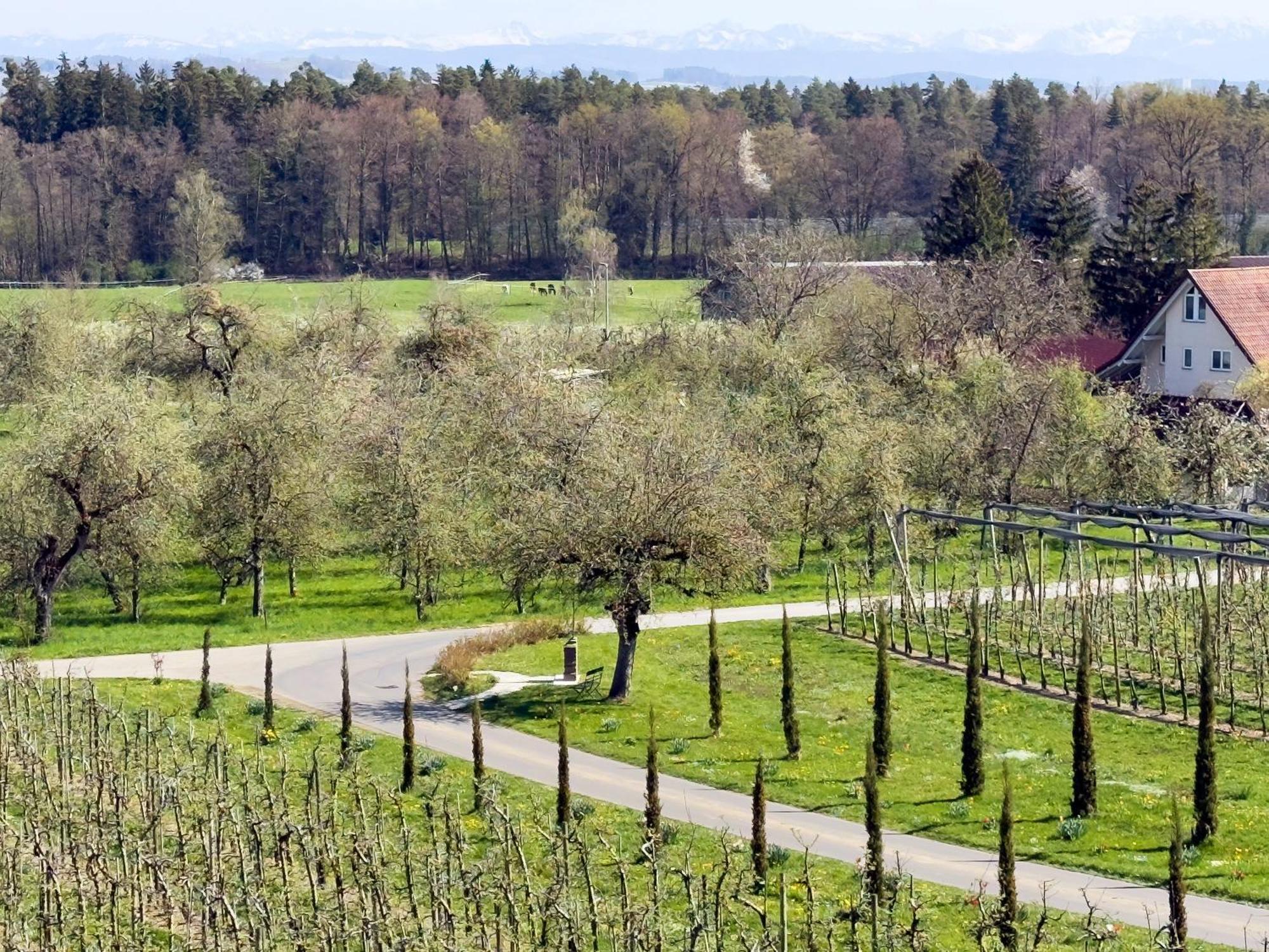 Bergchalet Mirabell - Hofgut FDH Kültér fotó