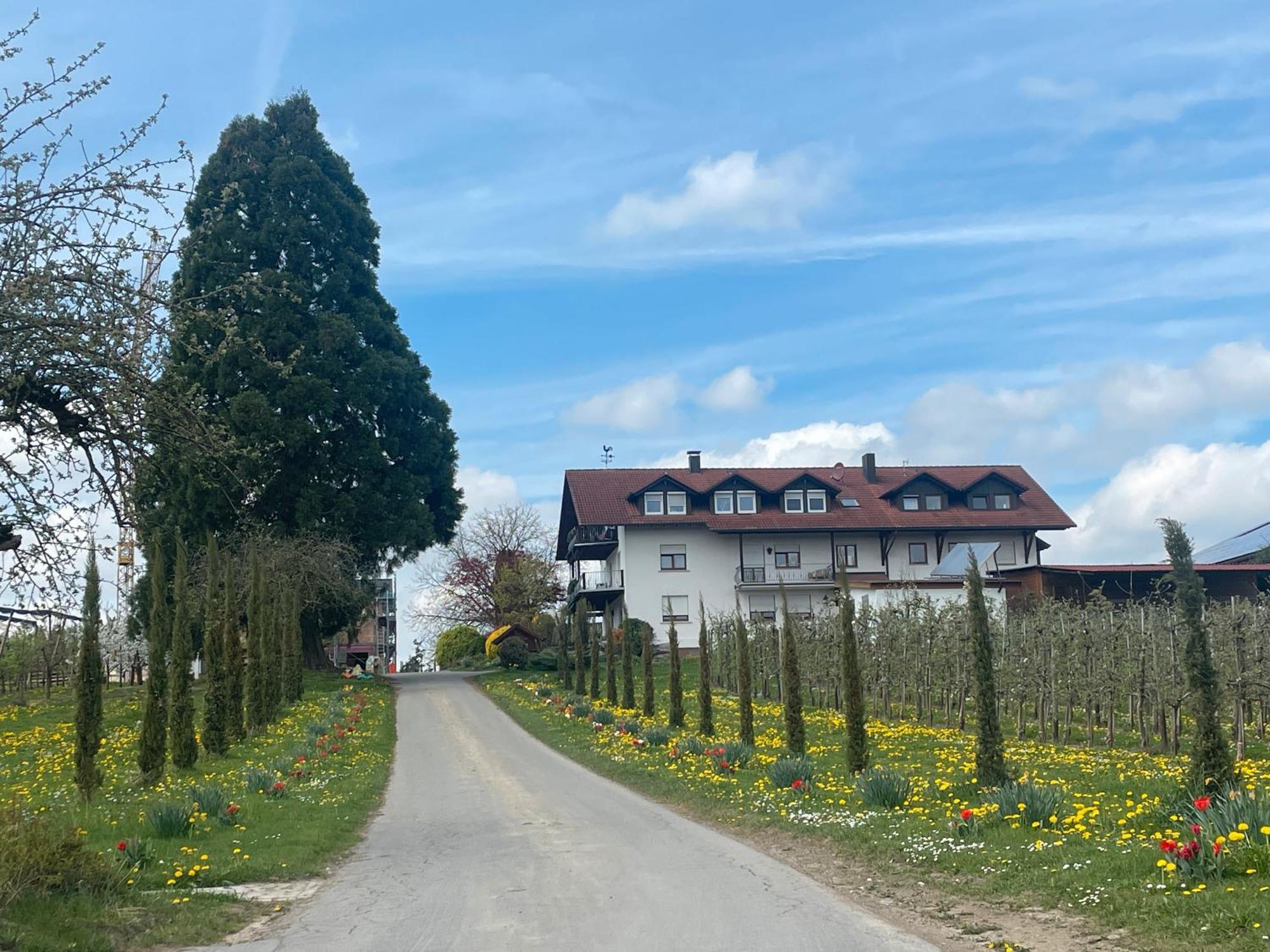 Bergchalet Mirabell - Hofgut FDH Kültér fotó